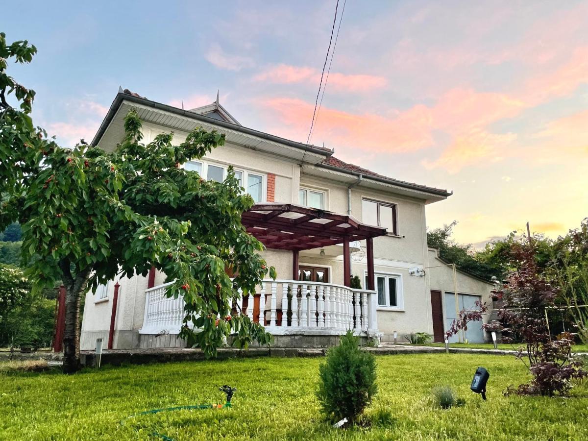 Vila Cozy, Panorama Superba, Gratar Si Relaxare Piatra Neamţ Eksteriør bilde